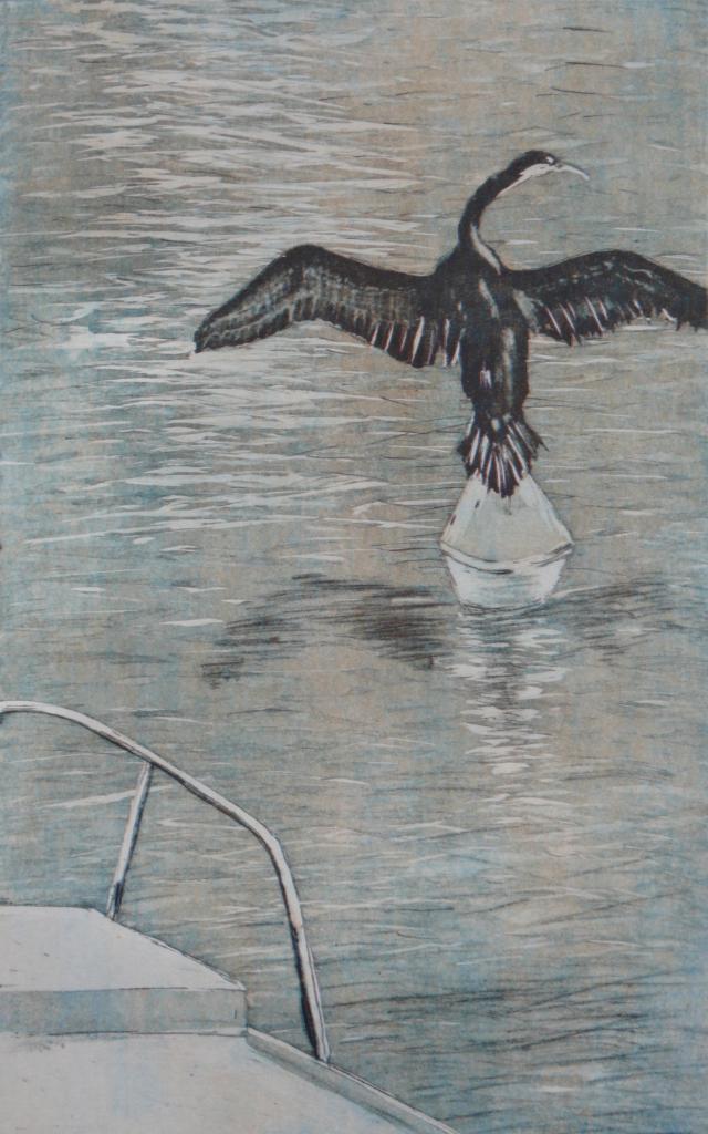 Le cormoran