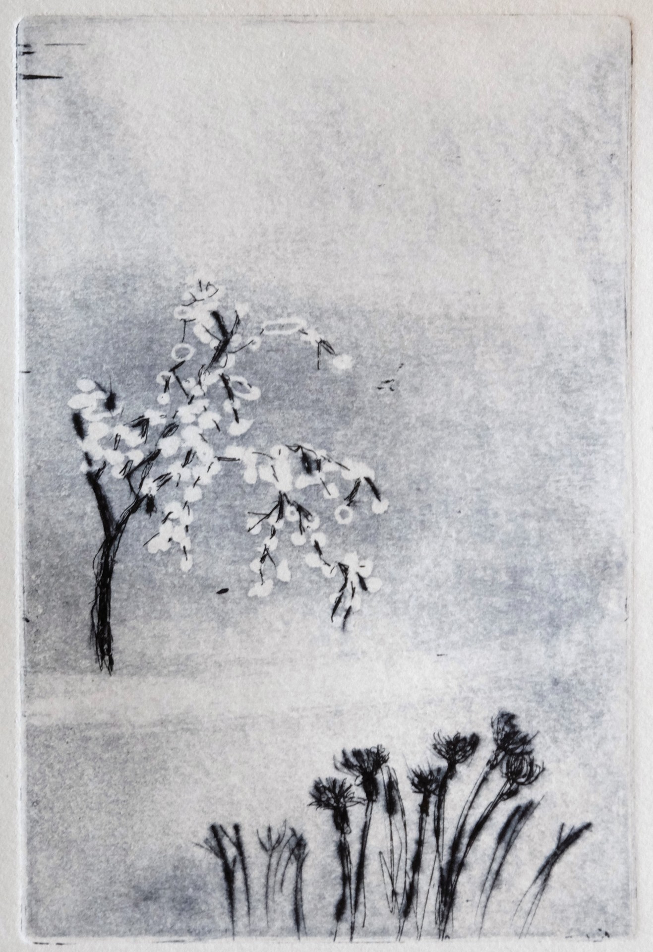 Primtemps1