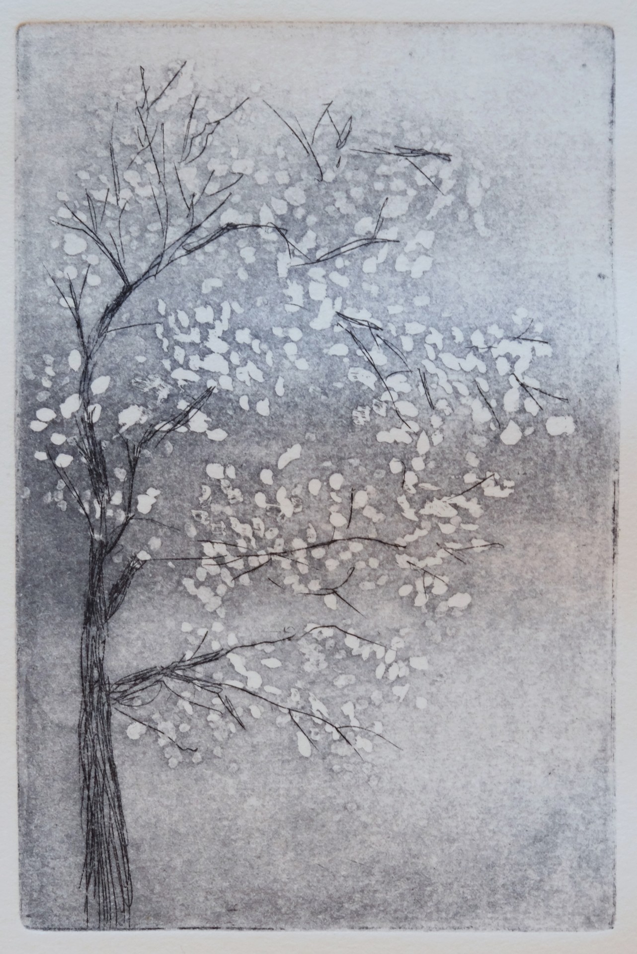 Primtemps2